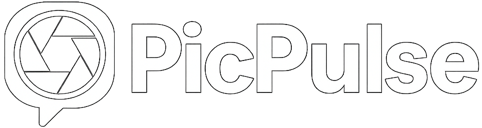 PicPulse logo